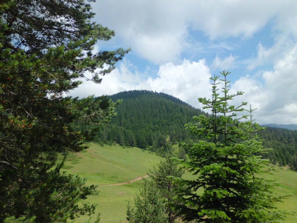 Ilgaz Derbent Hotel Exterior foto